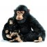 Мягкая игрушка Hansa "Шимпанзе папа" 65 см (2067)