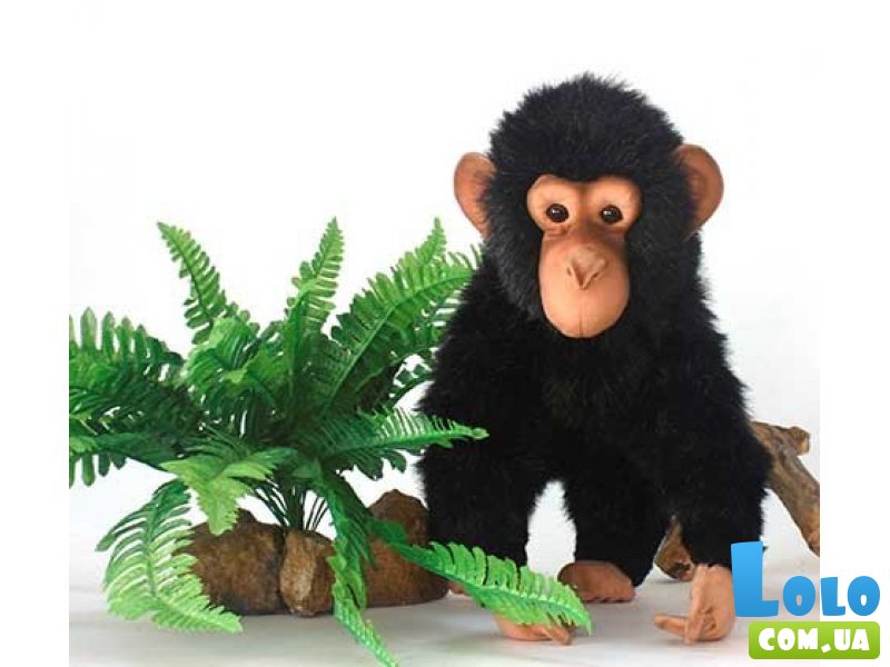 Мягкая игрушка «Шимпанзе» (30 см) Hansa