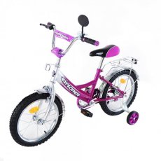 Велосипед двухколесный Baby Tilly Explorer 16" T-21611 (фиолетовый с серым)
