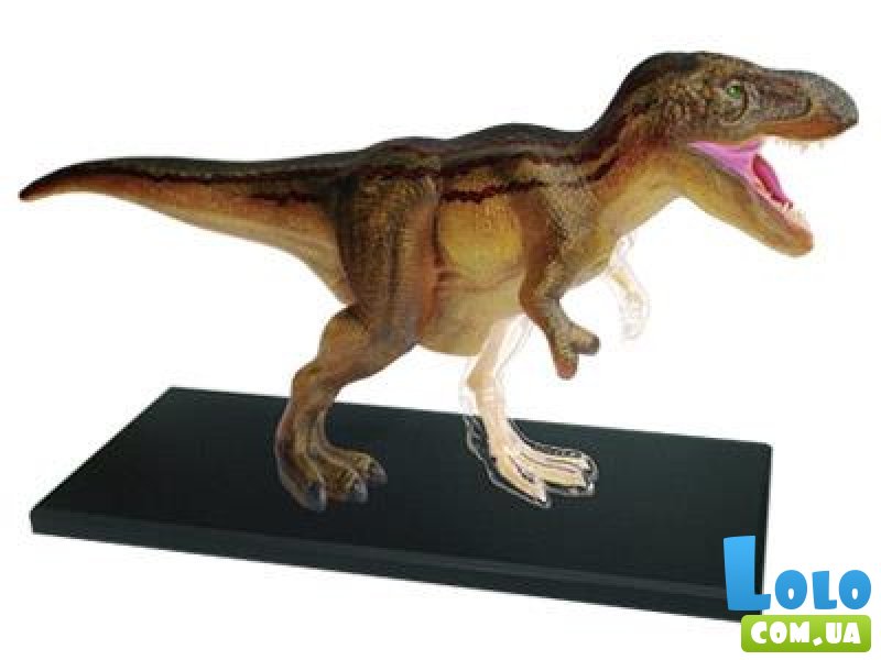 Объемная анатомическая модель 4D Master "Тираннозавр" (26092), 36 эл.