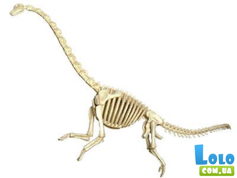Объемная анатомическая модель 4D Master "Брахиозавр" (26094), 42 эл.