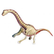 Объемная анатомическая модель 4D Master "Брахиозавр" (26094), 42 эл.