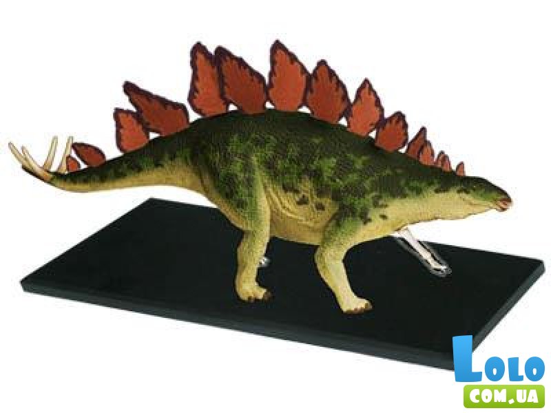 Объемная анатомическая модель 4D Master "Стегозавр" (26095), 39 эл.