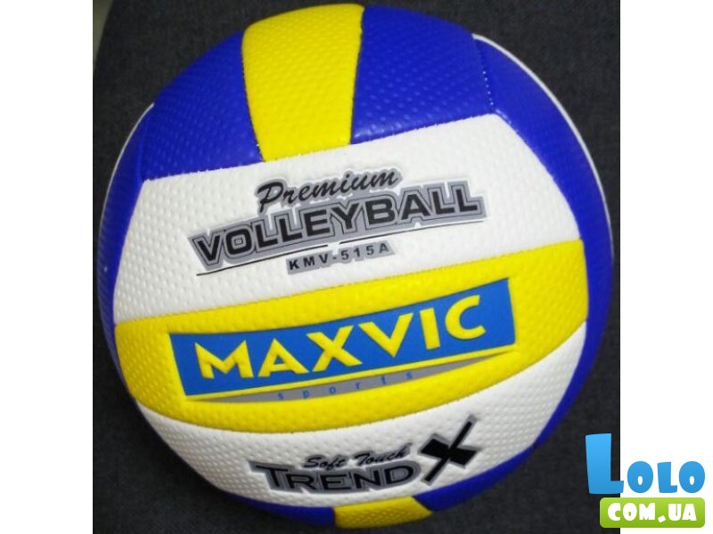 Мяч волейбольный Maxvic (BT-VB-0043)
