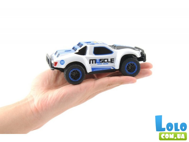 Шорт-корс микро HB Toys Muscle 4WD (HB-DK4302)