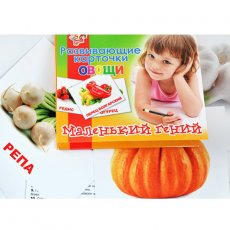 Набор детских карточек "Овощи" (951299), 15 эл.