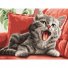 Картина по номерам Зевающий кот, Brushme (40х50 см)
