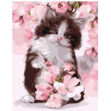 Картина по номерам Котик в розовом цвету, Brushme (40х50 см)