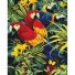 Картина по номерам Разноцветные попугаи, Идейка (40х50 см)
