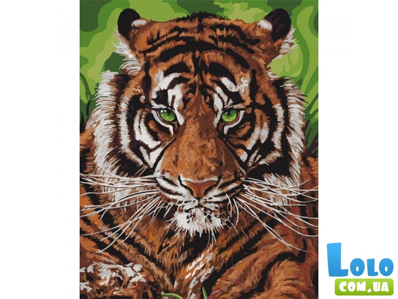 Картина по номерам Непобедимый тигр, Идейка (40х50 см)