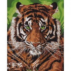 Картина по номерам Непобедимый тигр, Идейка (40х50 см)