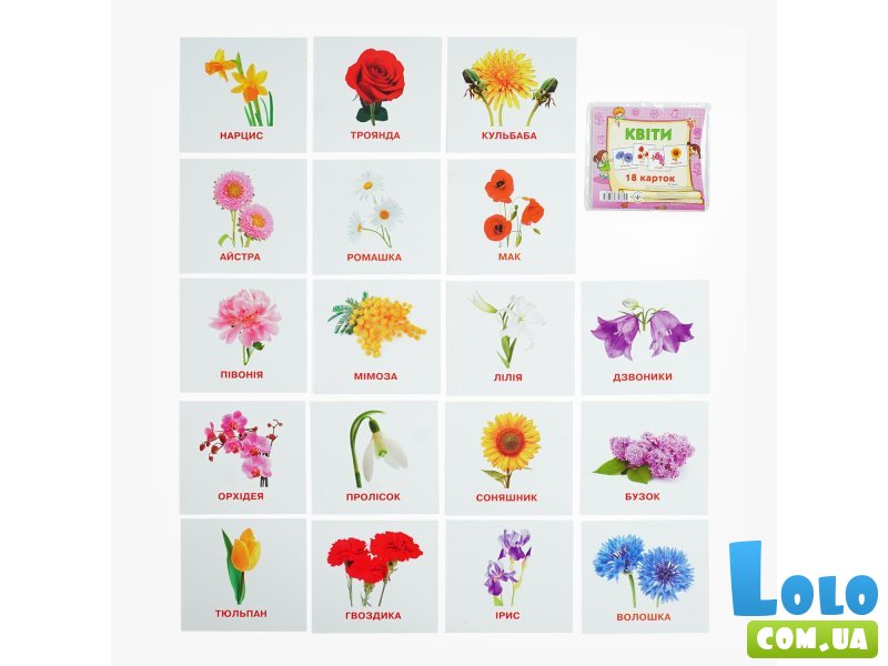 Набор мини карт Цветы, Jumbi (укр.)