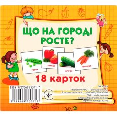 Развивающие карточки Что растет на огороде, Jumbi