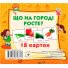 Развивающие карточки Что растет на огороде, Jumbi