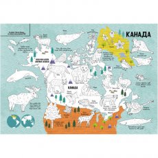 Книга Карты. Атлас - раскраска,Ранок (укр)