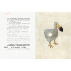 Книга Классика в иллюстрациях. Алиса в Стране Чудес, Ранок (укр)