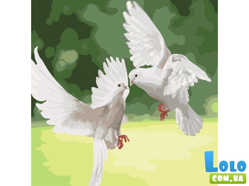 Картина по номерам Белоснежные голуби, Идейка (40х40 см)