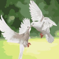 Картина по номерам Белоснежные голуби, Идейка (40х40 см)
