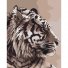 Картина по номерам Амурский тигр, Идейка (40х50 см)