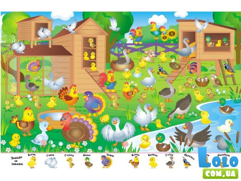 Книга Мой первый Виммельбух. Транспорт, Пегас (укр.)