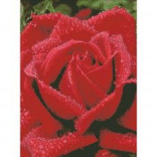 Алмазная мозаика Душистая роза, Идейка (30х40 см)