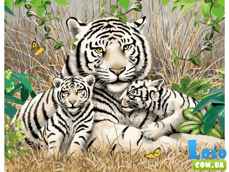 Картина по номерам Семья бенгальских тигров, Strateg (40х50 см)