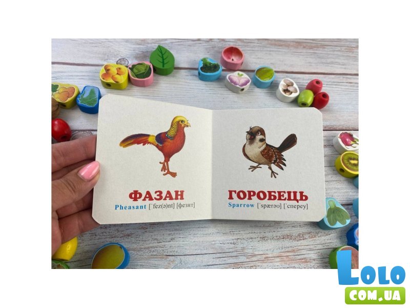 Книга Птицы, Пегас (укр.)