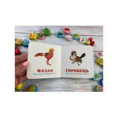 Книга Птицы, Пегас (укр.)