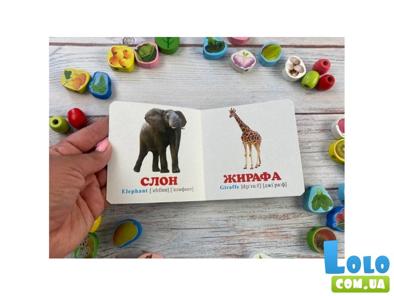 Книга В зоопарке, Пегас (укр.)