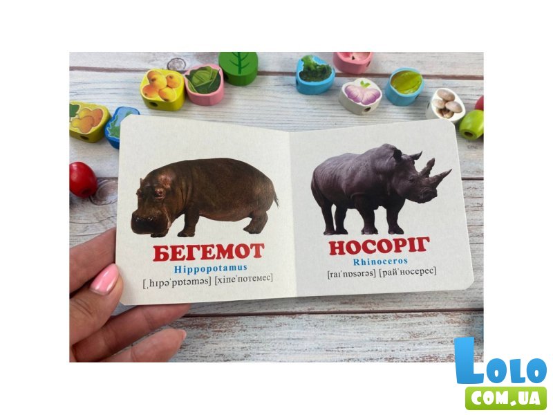 Книга В зоопарке, Пегас (укр.)