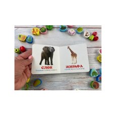 Книга В зоопарке, Пегас (укр.)