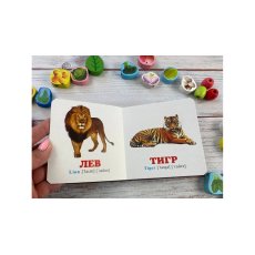 Книга В зоопарке, Пегас (укр.)