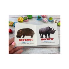 Книга В зоопарке, Пегас (укр.)