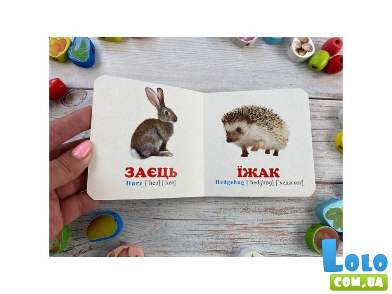 Книга В лесу, Пегас (укр.)