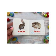 Книга В лесу, Пегас (укр.)