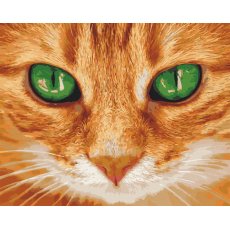 Картина по номерам Зеленые глаза, Art Craft (40х50 см)