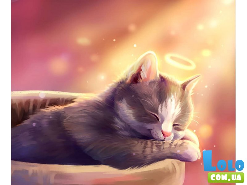 Картина по номерам Спящий котенок, Лавка Чудес (40х50 см)