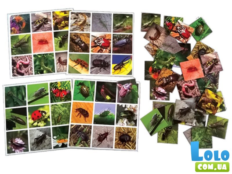 Настольная игра Супер Лото Насекомые (укр.), Энергия плюс