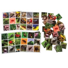 Настольная игра Супер Лото Насекомые (укр.), Энергия плюс