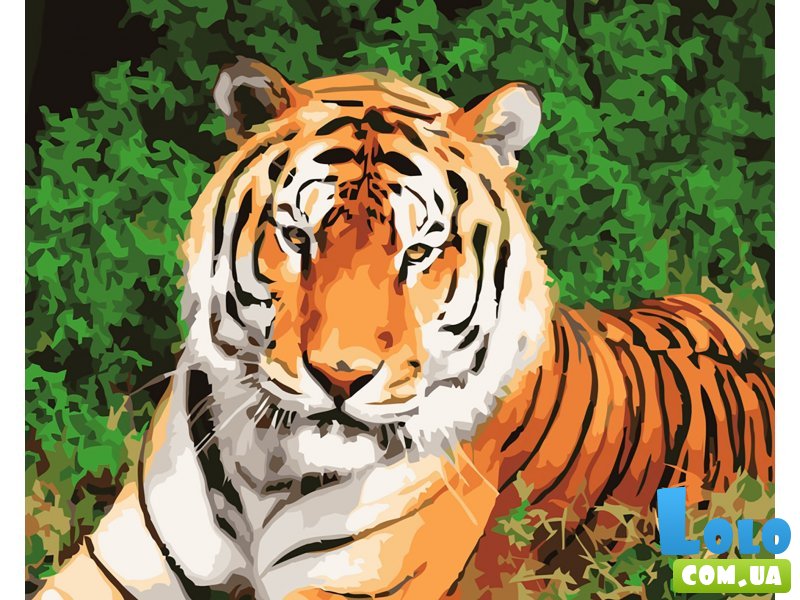Картина по номерам Тигр, Лавка Чудес (40х50 см)