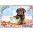 Пазлы Домашние любимцы, G-Toys, 70 эл.