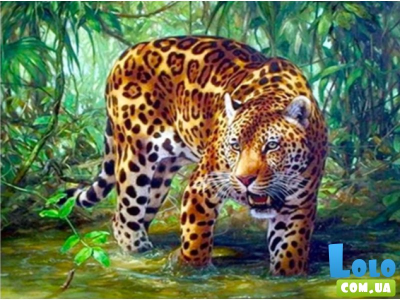 Алмазная мозаика Животные Леопард, TK Group (30х40 см)