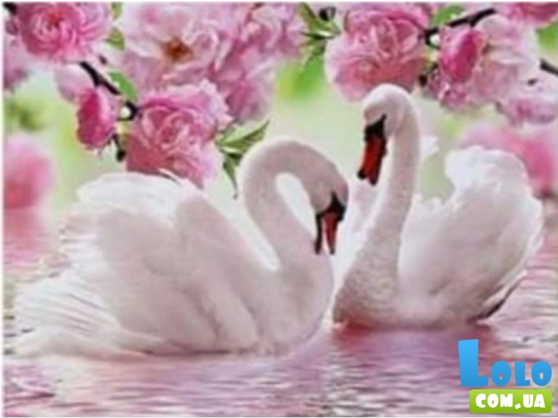 Алмазная мозаика Птицы Лебеди, TK Group (30х40 см)