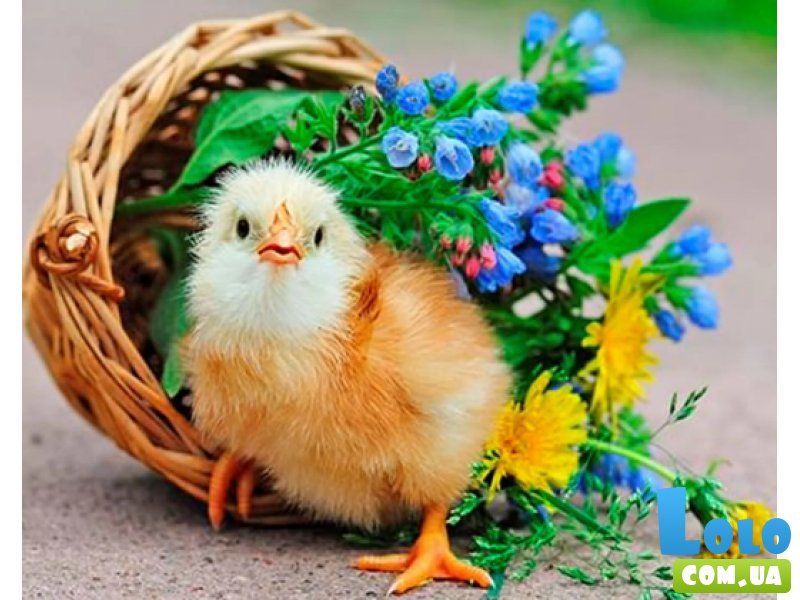 Алмазная мозаика Птица в корзине, TK Group (30х40 см)