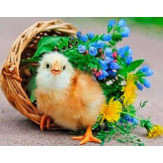 Алмазная мозаика Птица в корзине, TK Group (30х40 см)