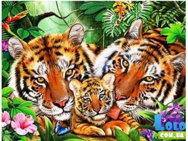 Алмазная мозаика Животные Тигры 3, TK Group (30х40 см)