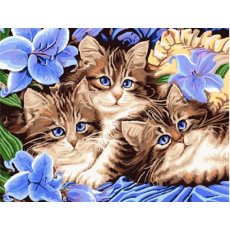 Алмазная мозаика Животные Котята, TK Group (30х40 см)