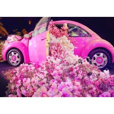 Картина по номерам Авто в цветах, Лавка Чудес (40х50 см)