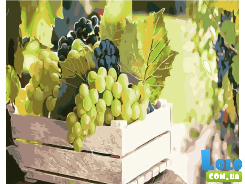 Картина по номерам Сочный виноград, Strateg (40х50 см)